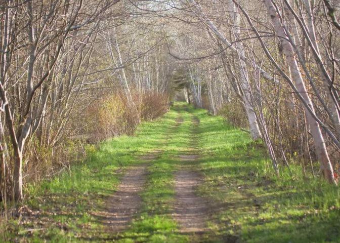 Upper Clements Cottages & Rv Park Annapolis Royal Luaran gambar