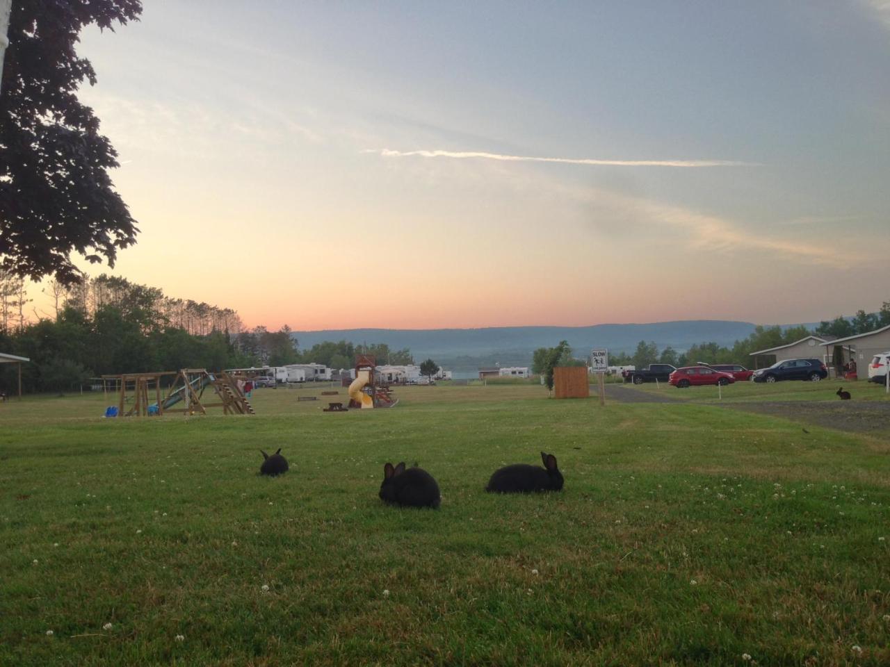 Upper Clements Cottages & Rv Park Annapolis Royal Luaran gambar